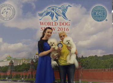WDS-2016, Москва, 25.06.2016.