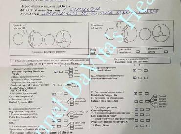 Офтальмологический сертификат Camelia Bloom Vitalina "Вита" от 14.01.2017 г.
