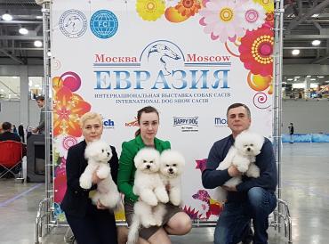 Выставка "Евразия-2017" в Москве 17-19.03.2017 г.